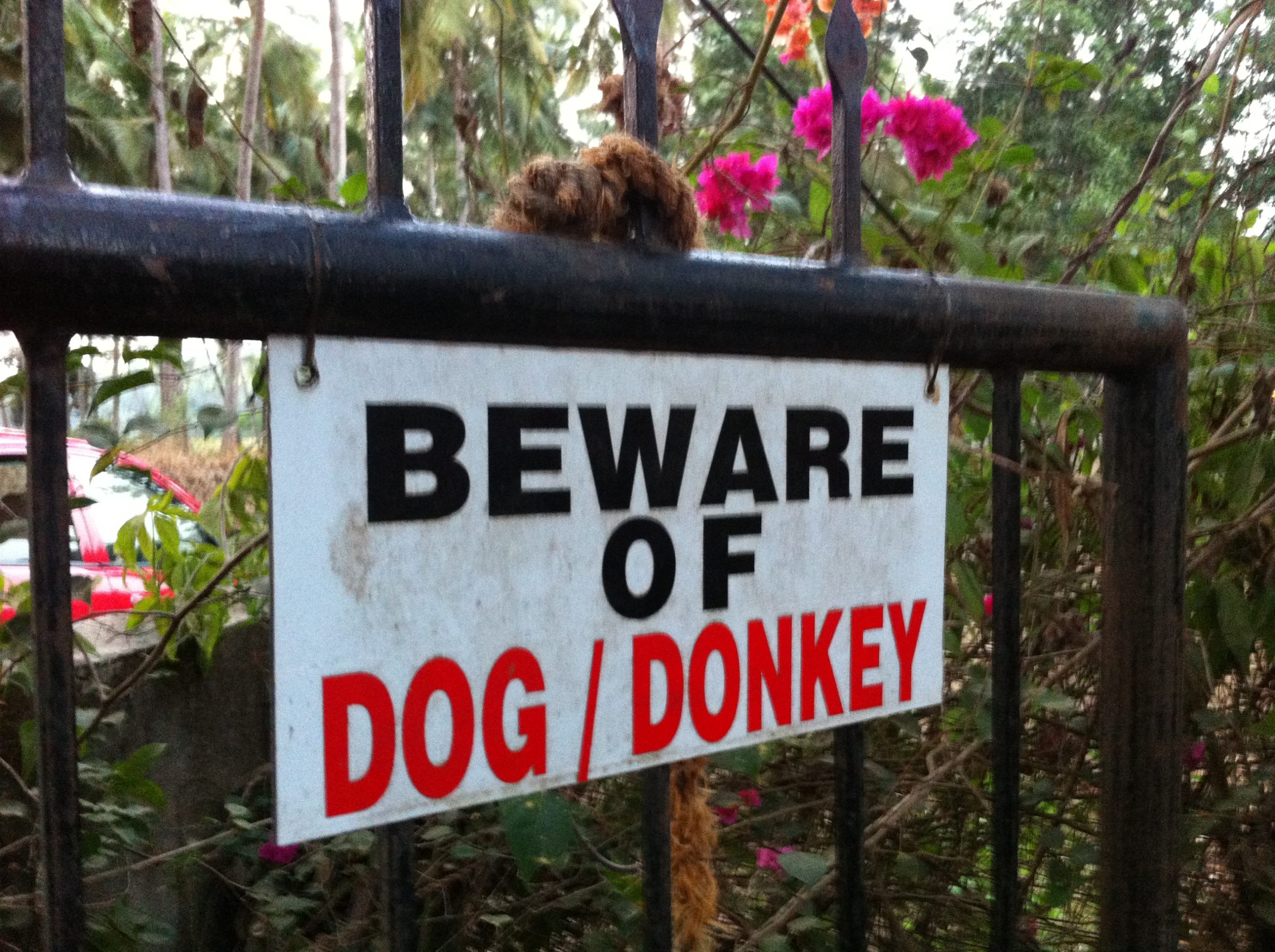 Schild am Tor, Beschriftung: BEWARE OF DOG / DONKEY. Übersetzt heißt das: Achtung Hund und Esel!