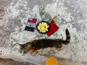 Jackfruit auf Teller, daneben eine Katze (Lola) und das Buch THE ARGONAUTS auf Englisch